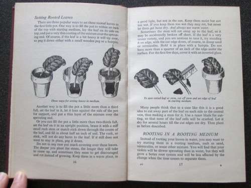 How to Grow African Violets. 1956, Carolyn Rector