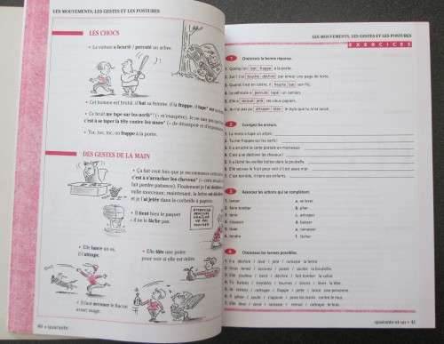 French - Vocabulaire de Francais Progressif avec 250 exercises, Niveu avance, Clare Miguel