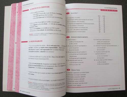 French - Vocabulaire de Francais Progressif avec 250 exercises, Niveu avance, Clare Miguel
