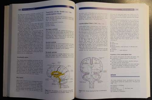 Anatomy and Physiology in Health and Illness by KJW Wilson OBE & A Waugh, Ross and Wilson 8th Ed