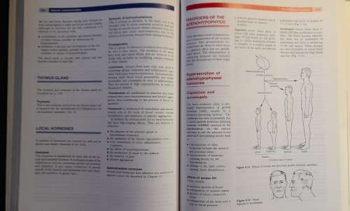 Anatomy and Physiology in Health and Illness by KJW Wilson OBE & A Waugh, Ross and Wilson 8th Ed
