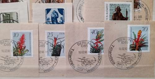 Germany DDR 1st Day Special Cancelations 1955 - 1988 incl. Famous Paintings from Dresden Gallery