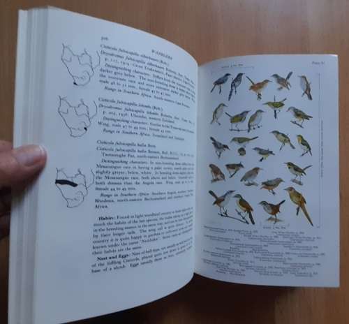 Birds of The Southern Third of Africa vol. 2, African Handbook of Birds