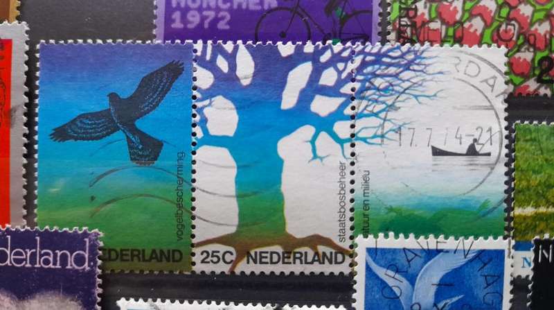 Netherlands / Holland Stamps, 1876 - 1989, Over 680 Stamps,Album Included, Top end Collection