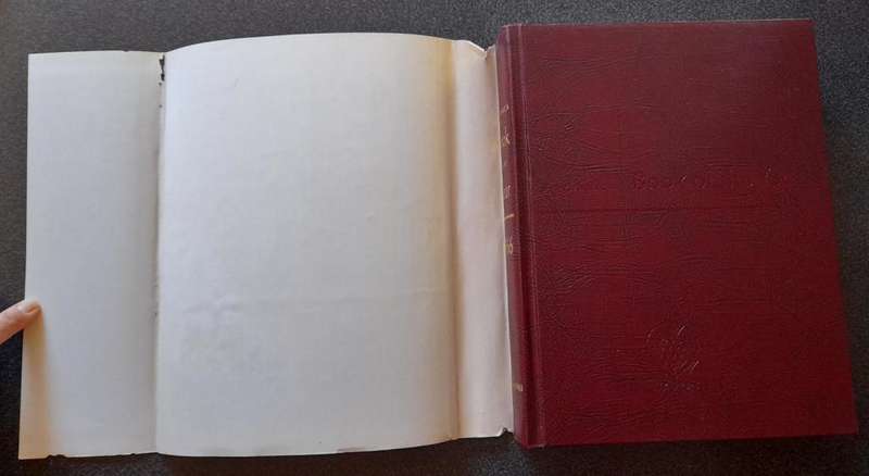 Britannica Book of the Year 1966, Events of 1965