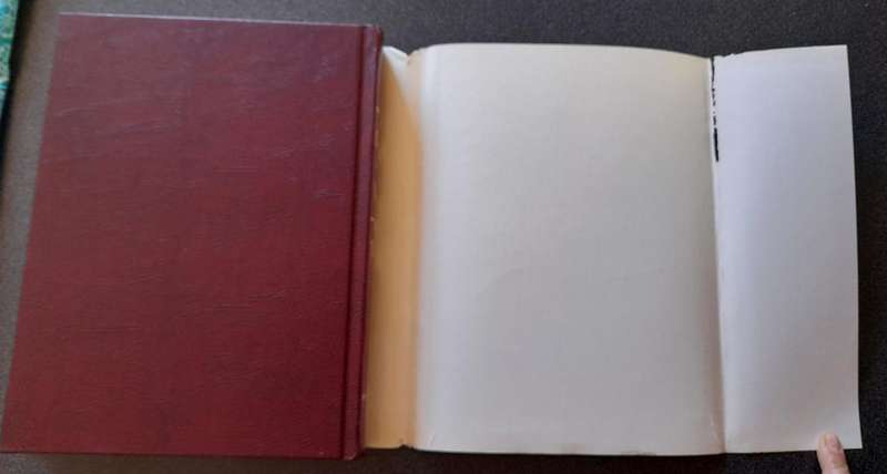 Britannica Book of the Year 1966, Events of 1965