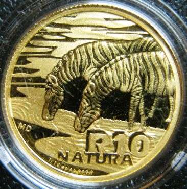 R1 start!!! 2013 Natura 1/10 Oz: The Zebra