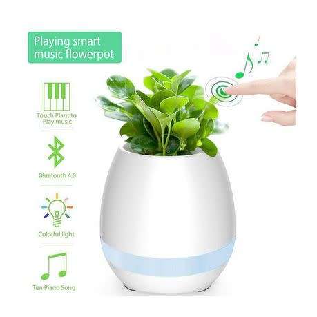 Bluetooth Musical Flower Pot