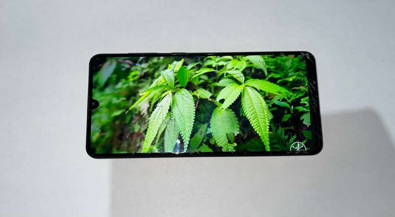 Samsung Galaxy A31