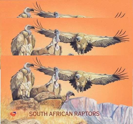 South Africa 1998 Raptors x 3 Booklets. Face Value R267. MNH