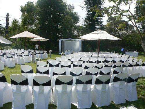 FACTORY REJECTS / SHOP SOILED ADULT CHAIRCOVERS - Ancona Chair Covers - 31