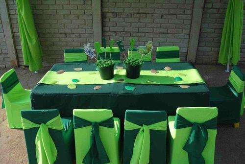 Start Your own Kiddies Party Business!