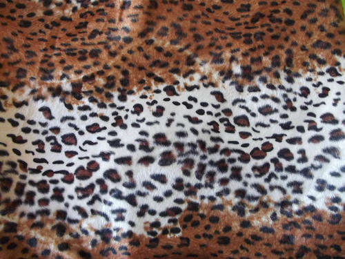 Leopard Print Velour Tablecloth - Something Special