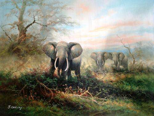 Elephants by J Carley. LARGE!!! oil painting on canvas.