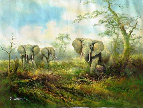 Elephants by J Carley. LARGE!!! oil painting on canvas.