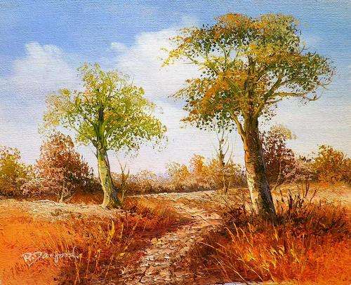Path in bushveld by R Dunford. Oil on canvas.