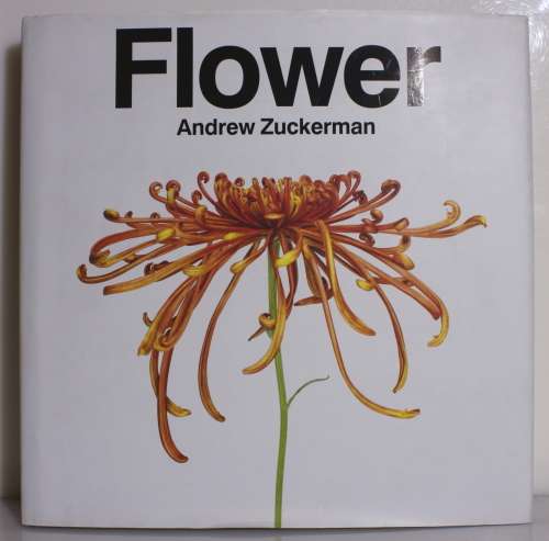 FLOWER by Andrew Zuckerman 2012