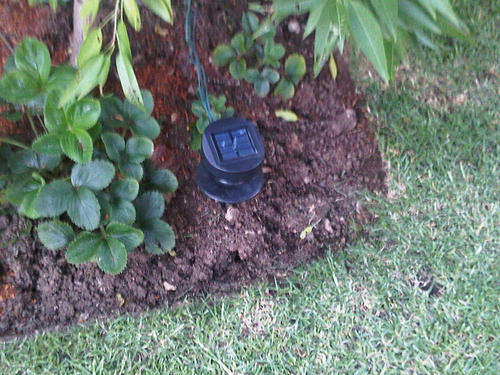 Actual Solar Unit. Neatly nestled in garden