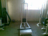 Standing bicep curl