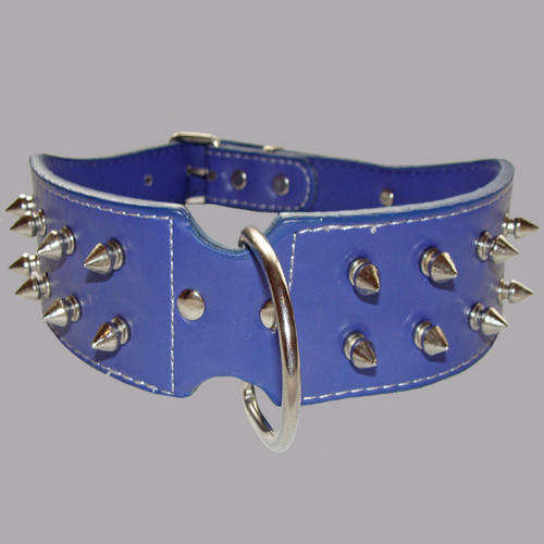 Fido Dog Collar with Spike Shape Studs & Engraving Plate - Blue (59cm) For Large Dog