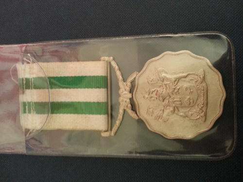 20 year service medal no on rim 8376
