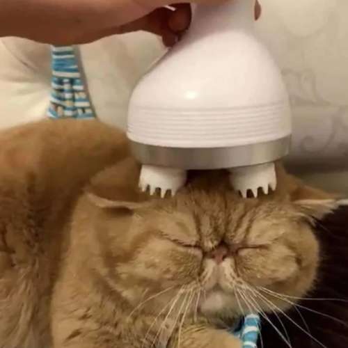Electric USB Rechargeable Pet Head Massager