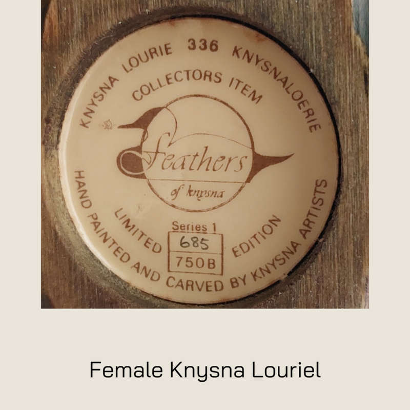 Knysna Loerie by Feathers of Knysna Limited Edition - 700 & 685