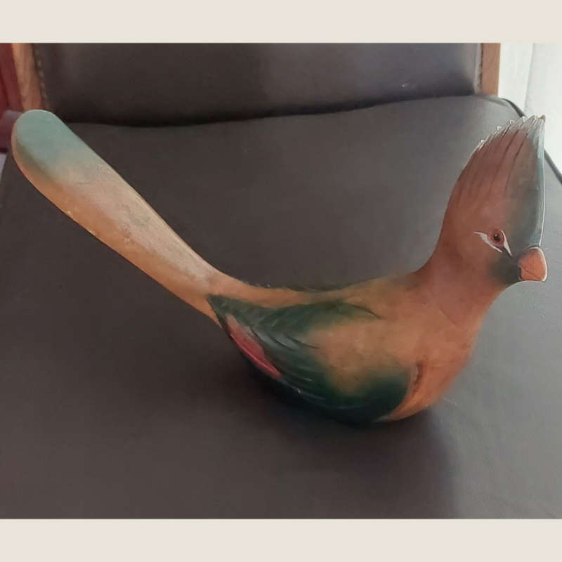 Knysna Loerie by Feathers of Knysna Limited Edition - 700 & 685