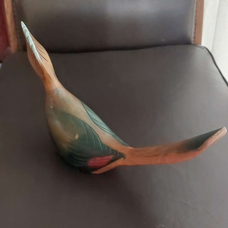 Knysna Loerie by Feathers of Knysna Limited Edition - 700 & 685