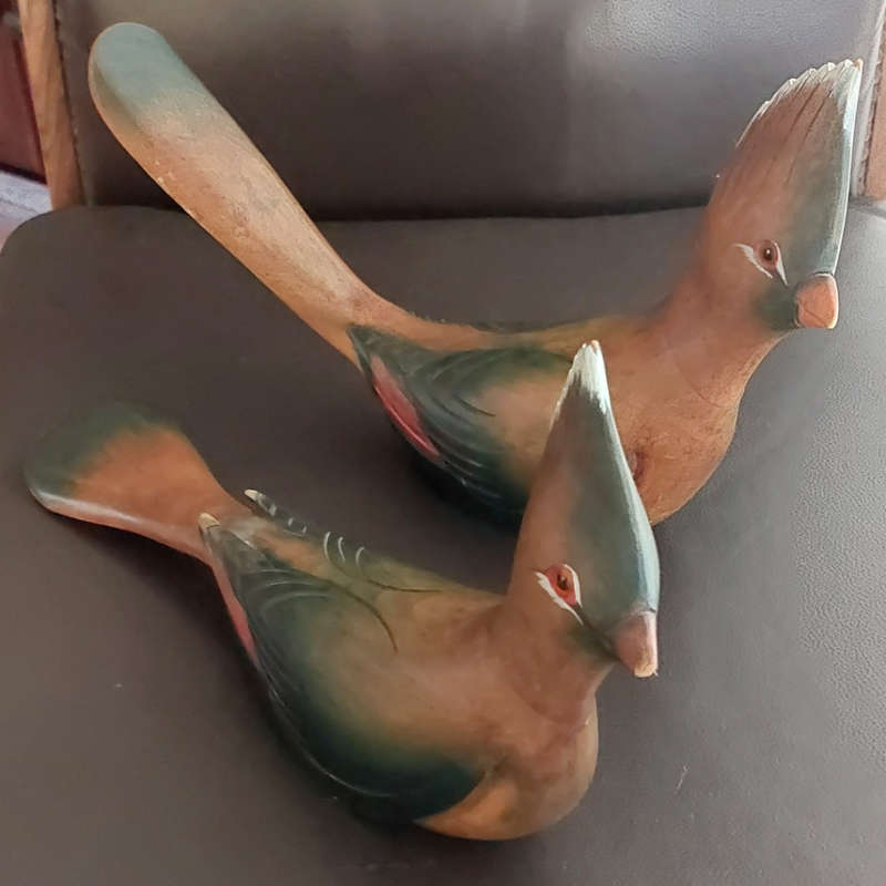 Knysna Loerie by Feathers of Knysna Limited Edition - 700 & 685