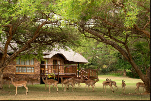 Valentine 2018 - "" 7 Days Breakaway 7 Days""  Kruger Park Lodge