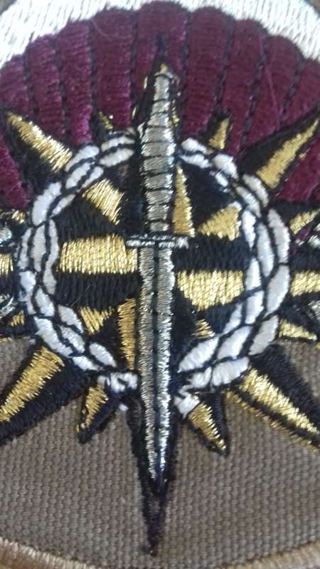SA Special Forces commemorative Badge Recces and Parabats ..as new condition