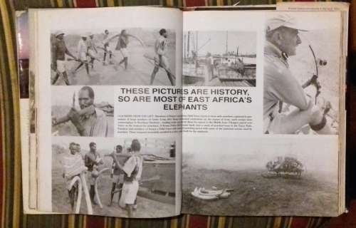 THE CHOPPER BOYS Helicopter Warfare in Africa by Al J Venter see discription