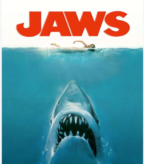 FUNKO POP! CHIEF BRODY: JAWS 755