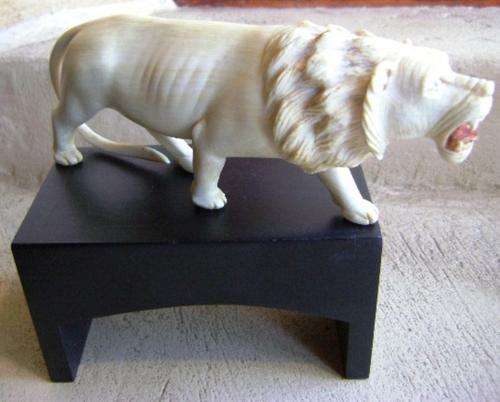 PRE 1920 AFRICAN LION IVORY CARVING
