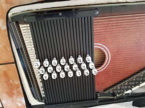 MINT CONDITION AUTO HARP CASED