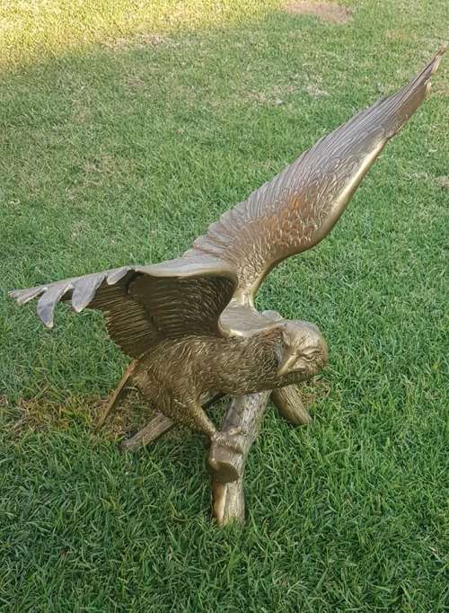 BOLD EAGLE. 540 X 515 MM