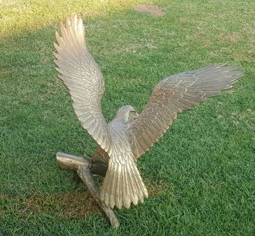 BOLD EAGLE. 540 X 515 MM
