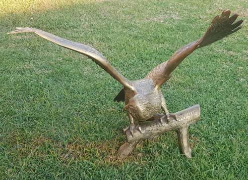 BOLD EAGLE. 540 X 515 MM