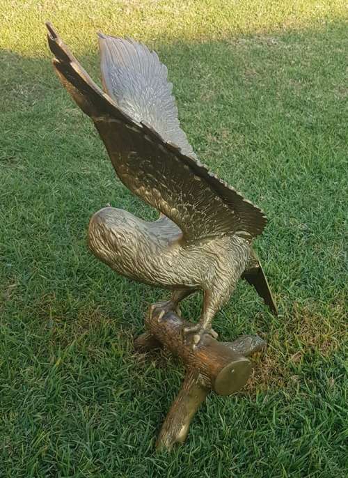 BOLD EAGLE. 540 X 515 MM