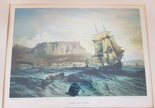 TABLE BAY 1851 LIMITED EDITION 30/600
