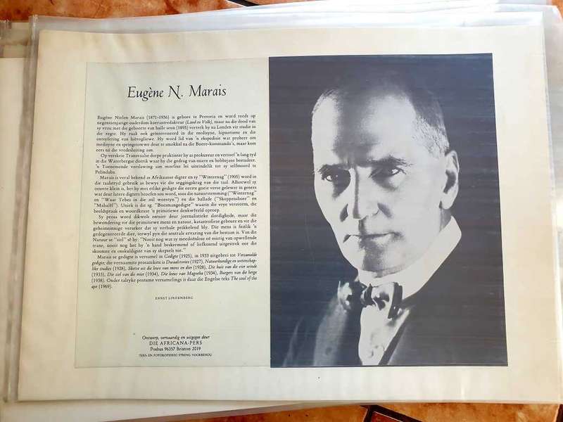 FAMOUS SOUTH AFRICAN WRITER/ POET CARTON DISPLAY A3 SIZE