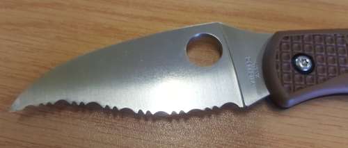 Spyderco Matriarch