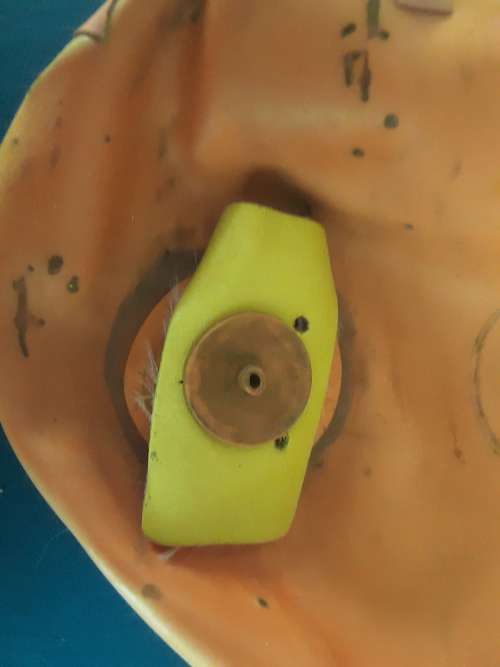 Leather Rugby Ball + bladder