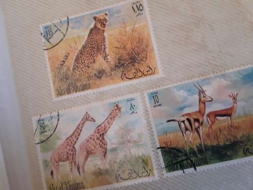 Large lot approx 500 Stamps from around the world