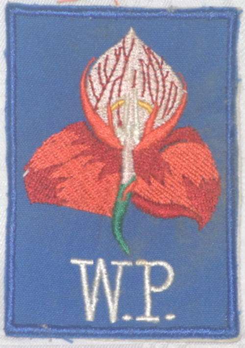 Western Province Badge