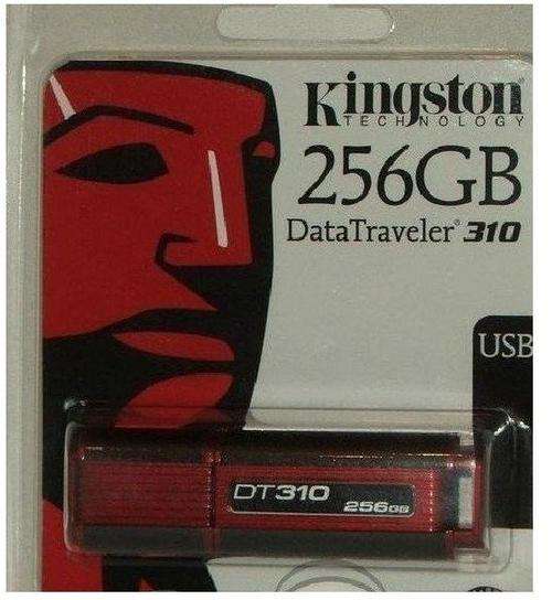 Kingston DT310 256GB USB 2.0 Flash Drive--CRAZY R1 AUCTION
