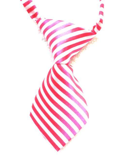 CUTE "Doggie Neck Ties" - Many Different Colours Available
