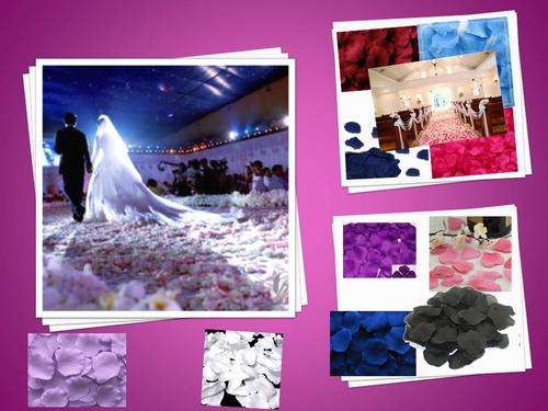 100 pcs Silk Rose petals ** - Perfect decoration!!! FREE SHIPPING OPTION