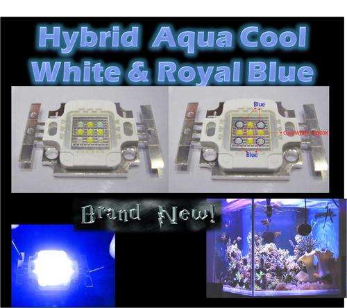 10W Hybrid Actinic Aquamarine Royal Blue LED chip *450nm*  & Aqua Cool White 10000K 9-11V 900mA